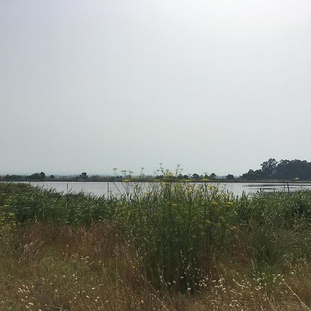 Moradia Proxima Da Praia Do Areinho, Na Ria, E Praia Dos Marretas Овар Екстериор снимка